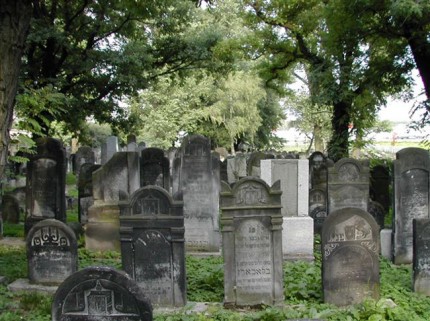 The Jewish cemetery in Czeladź