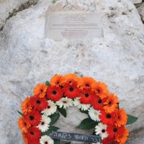 DSC_3669.JPG